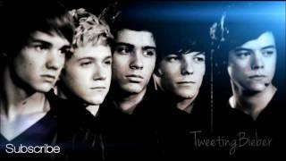 One Direction  What Makes You Beautiful with Lyrics [upl. by Anib]