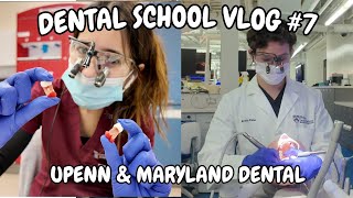 Dental School VLOG 7  Dentures Crowns amp Root Canals [upl. by Corbett]