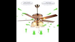 RainierLight Modern Crystal Ceiling Fan Remote Control 5 Reversible Blades 5 Frosted Glass Cover [upl. by Arsi687]