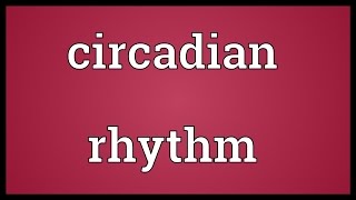 Circadian rhythm Meaning [upl. by Yaner]