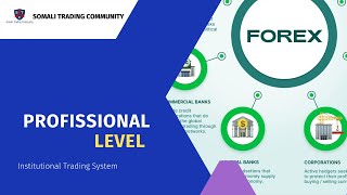 Forex Profissional Level Membership [upl. by Atinnek665]