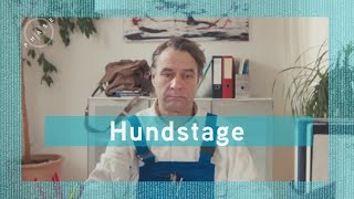 Hundstage  HFFBewerbungsfilm [upl. by Neelhtak96]