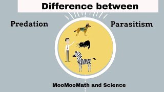 Difference between Predation and Parasitism [upl. by Sutelc]