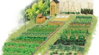 Les principes de la rotation des légumes au potager [upl. by Adiari]