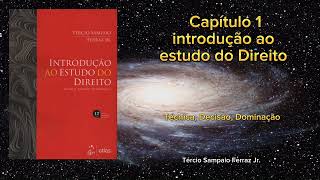 Capítulo 1  Introdução ao Estudo do Direito Tércio Sampaio Ferraz Jr  Audiobook [upl. by Nimocks]