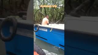 Mangrove forests of Baratang Andaman trending travel shorts viralvideo [upl. by Yeniar568]