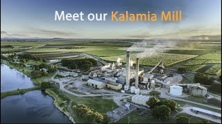 Meet our Kalamia Mill [upl. by Alexa]