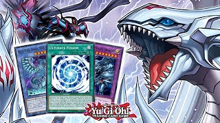 BlueEyes Can FINALLY Summon Dragon Magia Master With These NEW Cards YuGiOh [upl. by Clea]