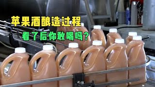 苹果酒详细酿造过程，简直不可思议，看了后你敢喝吗？ [upl. by Adabelle]