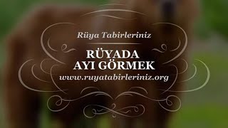 Rüyada Ayı Görmek  Rüya Yorumu Rüya Tabirleri [upl. by Enilauqcaj]