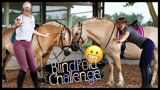 😱 BLIND reiten satteln und putzen 🙈  Blondis auf Fjordis [upl. by Amr]