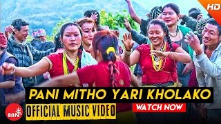 New Lok Dohori Song 2016  Pani Mitho Yari Kholako  Priyajan Rai amp Menuka Rai  Purbeli Joontara [upl. by Marron771]