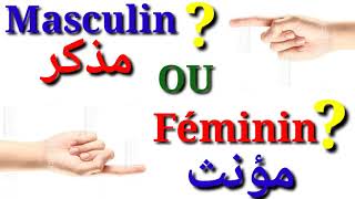 le masculin et le féminin في اللغة الفرنسية [upl. by Eelegna]