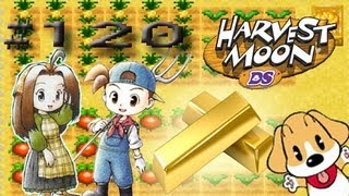 Wir machen den Weg goldig ≡ 【120】 Harvest Moon DS Lets Play 【DeutschWQHD】 [upl. by Alenairam]