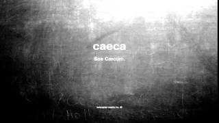 What does caeca mean [upl. by Callida]