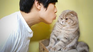 고양이에게 뽀뽀를 했을때 반응은 Kissing a Cat 猫にキスをしたときの反応 SURIampNOEL [upl. by Savick]