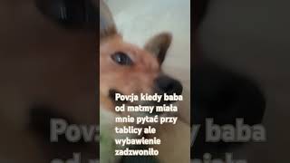 Czy wy też tak macie [upl. by Zuzana818]