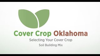 Discussing cover crop mixes Soil Builder [upl. by Enotna]