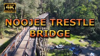 Noojee Trestle Bridge Victoria Australia [upl. by Aneet]