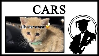 Why Are Cats Still Called Cars [upl. by Edwine]