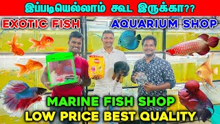 Exotic Fish  Cheapest Aquarium shop in Coimbatore  Marine Fish Shop fishtank aquarium fish [upl. by Mccourt]