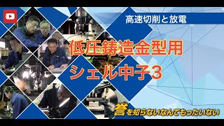 低圧鋳造金型と複雑形状シェル中子の部分電極によるハイブリッド加工 [upl. by Atilahs889]