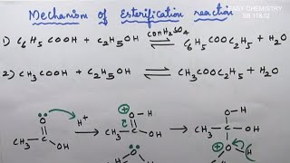 Esterification reactionformation of ethyl acetateCarbonyl compoundUnit 12s and Carboxylic acids [upl. by Gans]