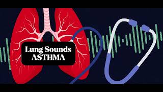 Understanding Asthma Lung Sounds Accurate Lung Assessment [upl. by Parfitt]