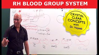 Rh Blood Group System  Dr Najeeb [upl. by Anirehc806]