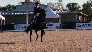 Equestrian TipsImprove Your Dressage Walk Pirouettes [upl. by Annairdna]