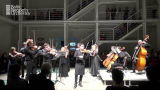 P Sarasate  Carmen Fantasy op25  Vasko Vassilev  Baltic Neopolis Orchestra  Hhighlights [upl. by Eiryt]