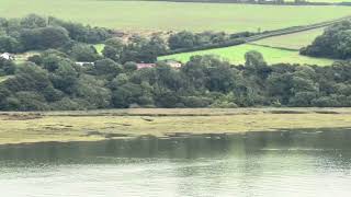 View of Laugharne Estuary from St John’s Hill [upl. by Enomed]