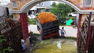 Start Project Dozer D31P amp Truck Good cooperation in filling the flooded area in the village [upl. by Odnala805]