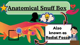 Anatomical Snuff Box Explained Easy IN 2 Minutes Upper Limb Anatomy [upl. by Ela948]