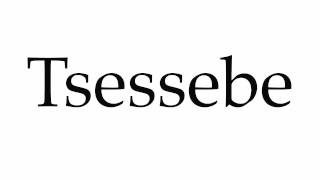 How to Pronounce Tsessebe [upl. by Bradshaw507]