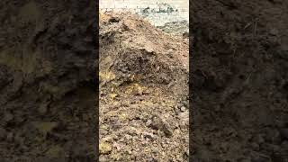 vermicomposting smartphone trending nature [upl. by Ziwot]