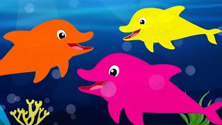 We Are The Dolphins Fun Nursery Rhyme for Children by Kids Tv Baby Shark [upl. by Tressa]