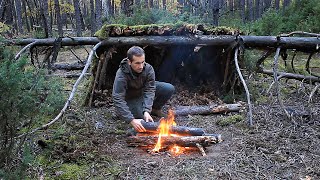 Bushcraft Survival in the Woods with One Knife Overnight in Natural Shelter Edible Mushrooms [upl. by Nayve]