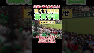 奇跡レベルで凄い滋賀学園の神応援！甲子園アルプス席に野次馬殺到！ [upl. by Arocet]