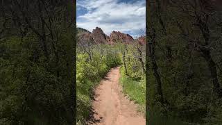 Roxborough Romp roxborough costateparks adventure hikingalone naturephotography [upl. by Ciaphus]