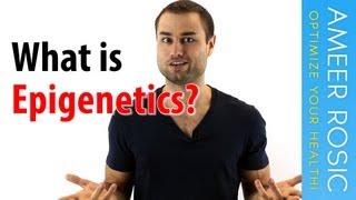 What is Epigenetics [upl. by Eleanor]