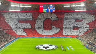 BEST OF  Bayern Fans Südkurve München Songs amp Choreo I Champions League PSG März 23 [upl. by Fawnia]