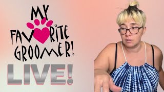 My Favorite Groomer is live Quick check in [upl. by Inna232]