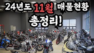 착한형의 오토바이 24년도 4분기 매물현황 총정리 굉장합니다 구경하고가세요 [upl. by Arimihc]