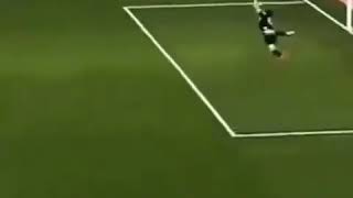 Unbelievable football cat invading a pitch and scoring a goal [upl. by Hadnama26]