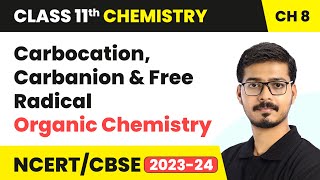 Carbocation Carbanion and Free Radical  Organic Chemistry  Class 11 Chemistry Chapter 8 [upl. by Aneahs]