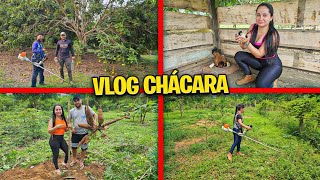 Cuidando da nossa CHÁCARA Dia de roçar a CHÁCARA🍃🥳 [upl. by Derej]