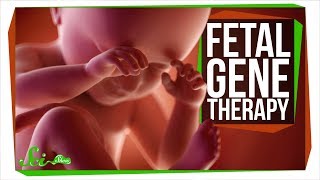 Are We Ready to Edit the Fetal Genome [upl. by Innoc]