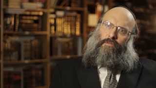 Rav Mosheh Twersky ztl Hyd Memorial Video [upl. by Annahsal]