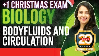 Plus One Biology  Bodyfluids And Circulation  Chapter 18  Full Chapter Revision  Exam Winner [upl. by Mauri]